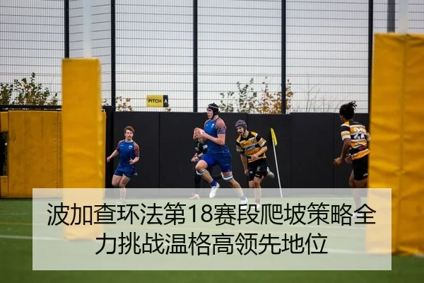 波加查环法第18赛段爬坡策略全力挑战温格高领先地位