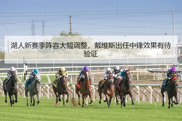hu-ren-xin-sai-ji-zhen-rong-da-fu-tiao-zheng-dai-wei-si-chu-ren-zhong-feng-xiao-guo-you-dai-yan-zheng-2-602.jpg